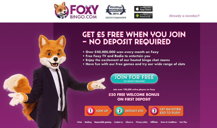 Foxy Bingo – Review and Free Bonus