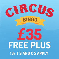 circus bingo